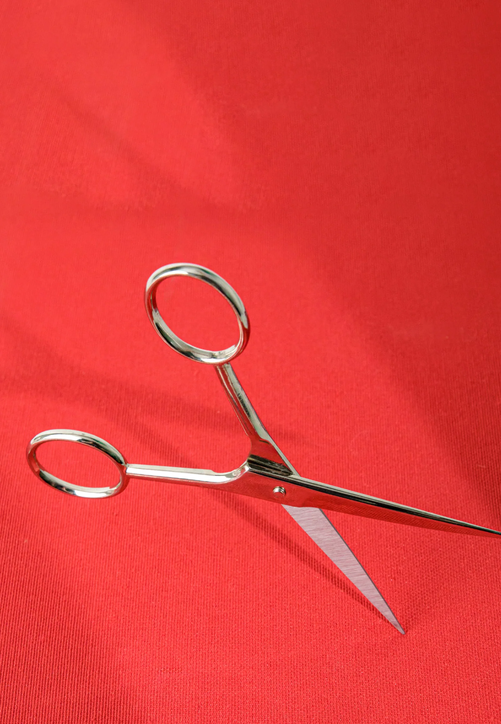 Italian Mustache Scissors Single 5 cm hsr2447-bk - Image 4
