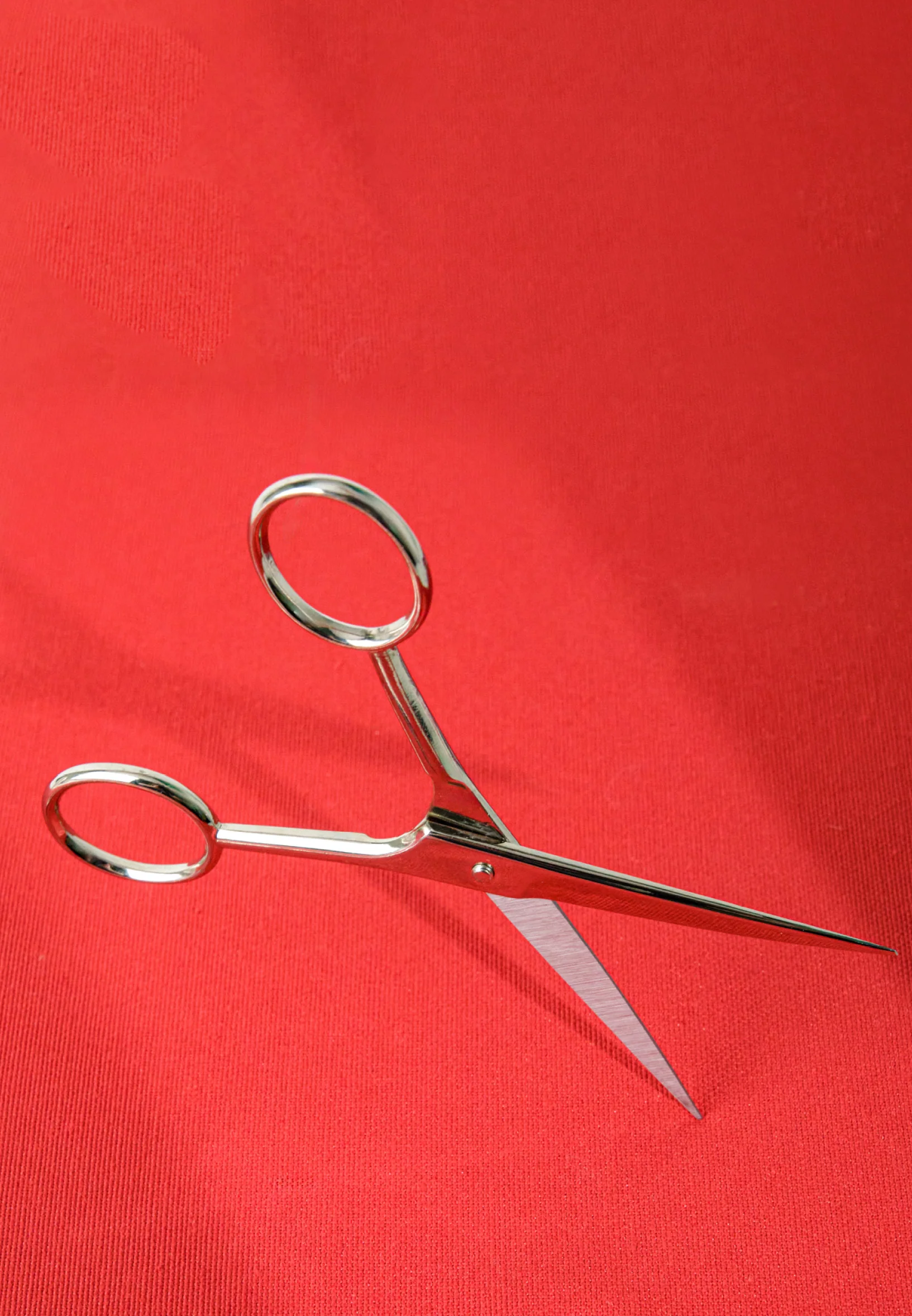 Italian Mustache Scissors Single 5 cm hsr2448-n - Image 4