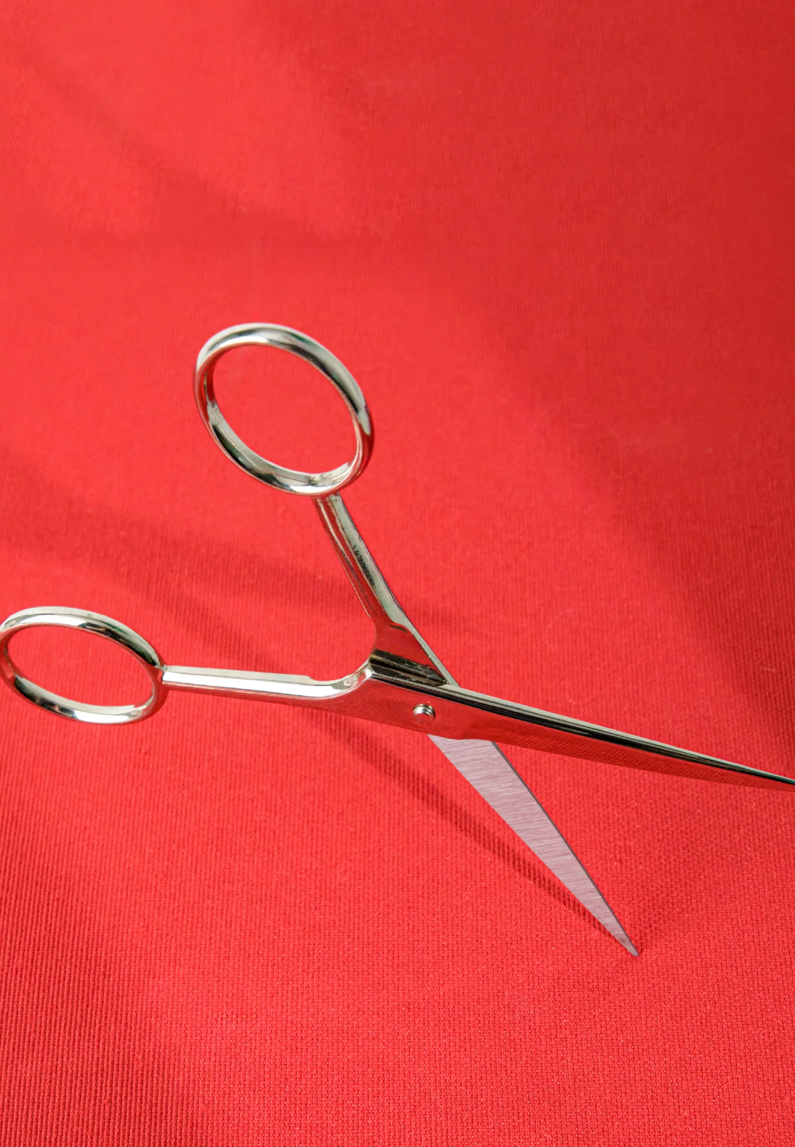 Italian Mustache Scissors Single 6 cm hsr2447-bb - Image 4