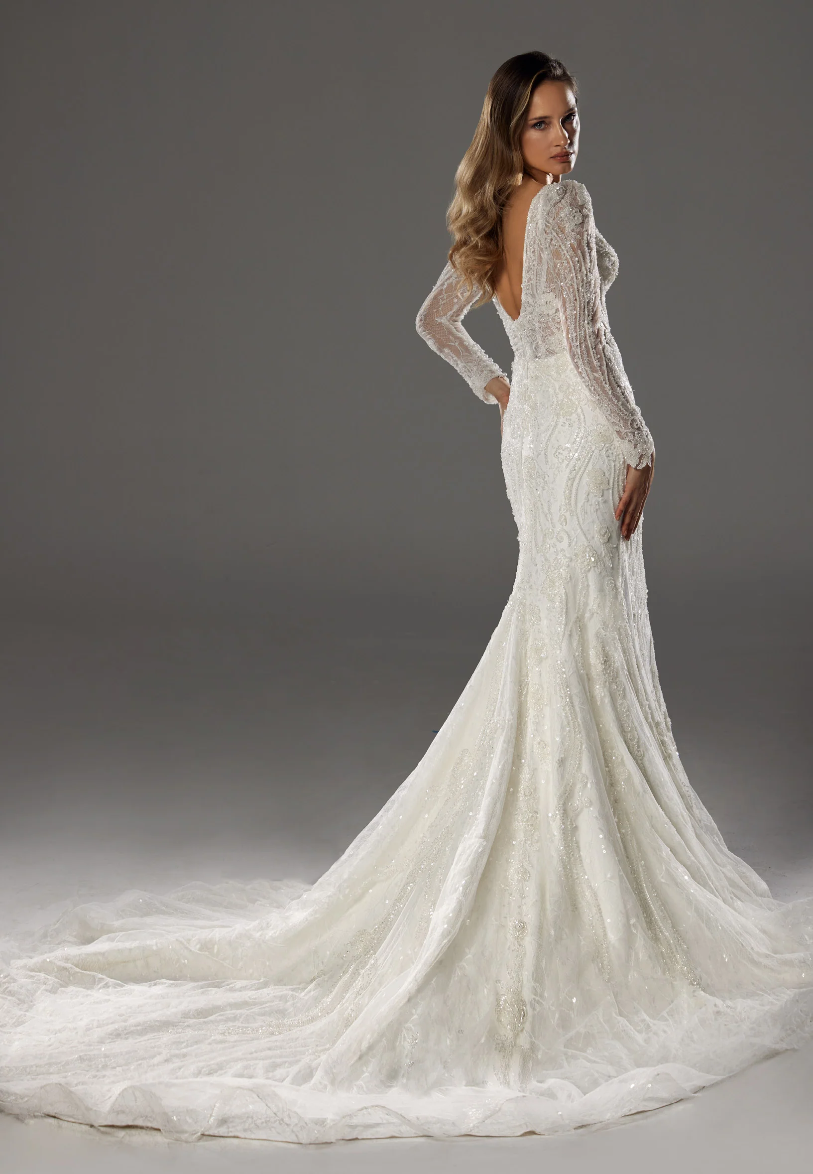 Long Sleeve Maxi Tulle Regular Wedding Dress bnc8063 - Image 11