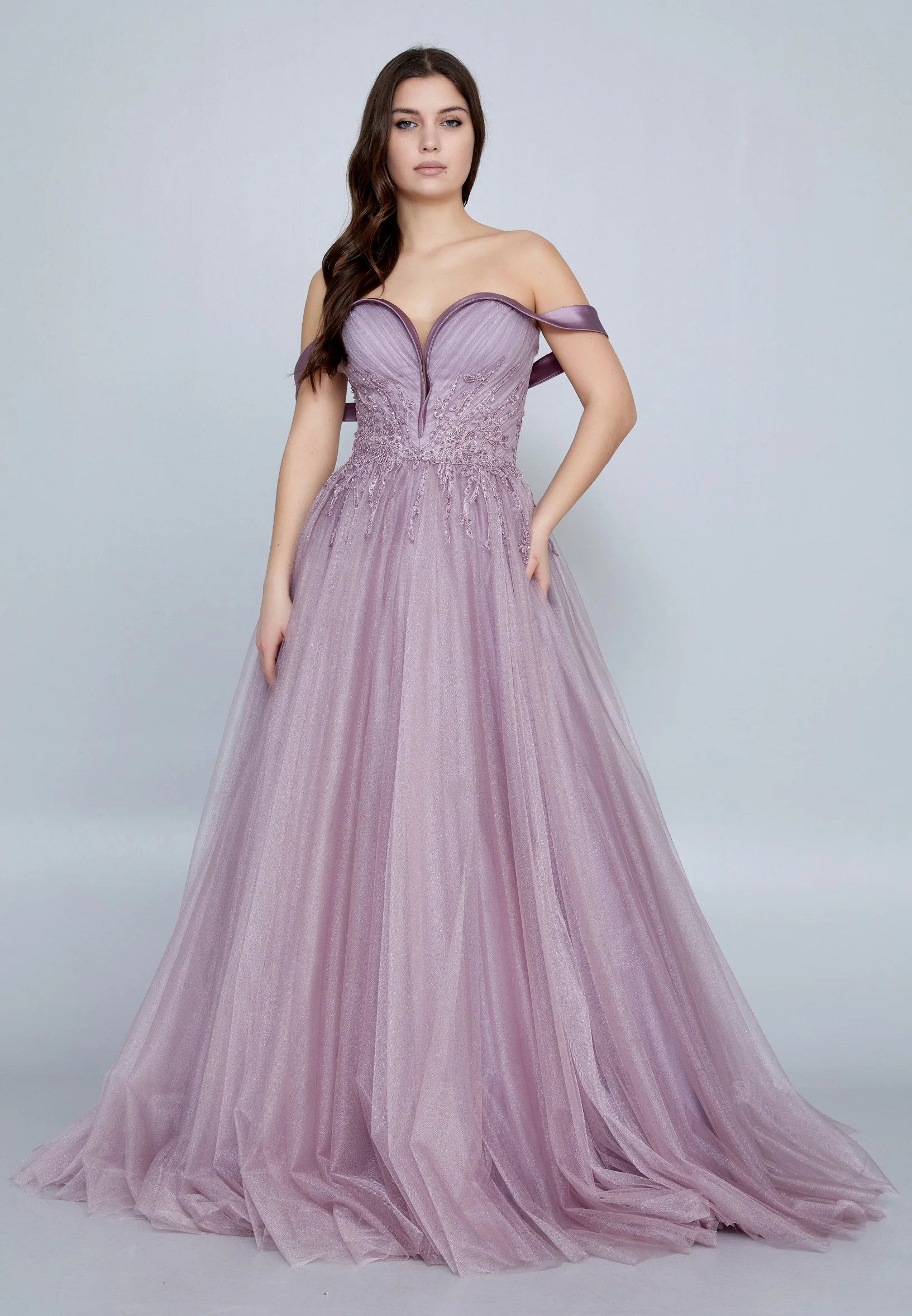 Off Shoulder Maxi Tulle A - Line Regular Prom Dress omn620