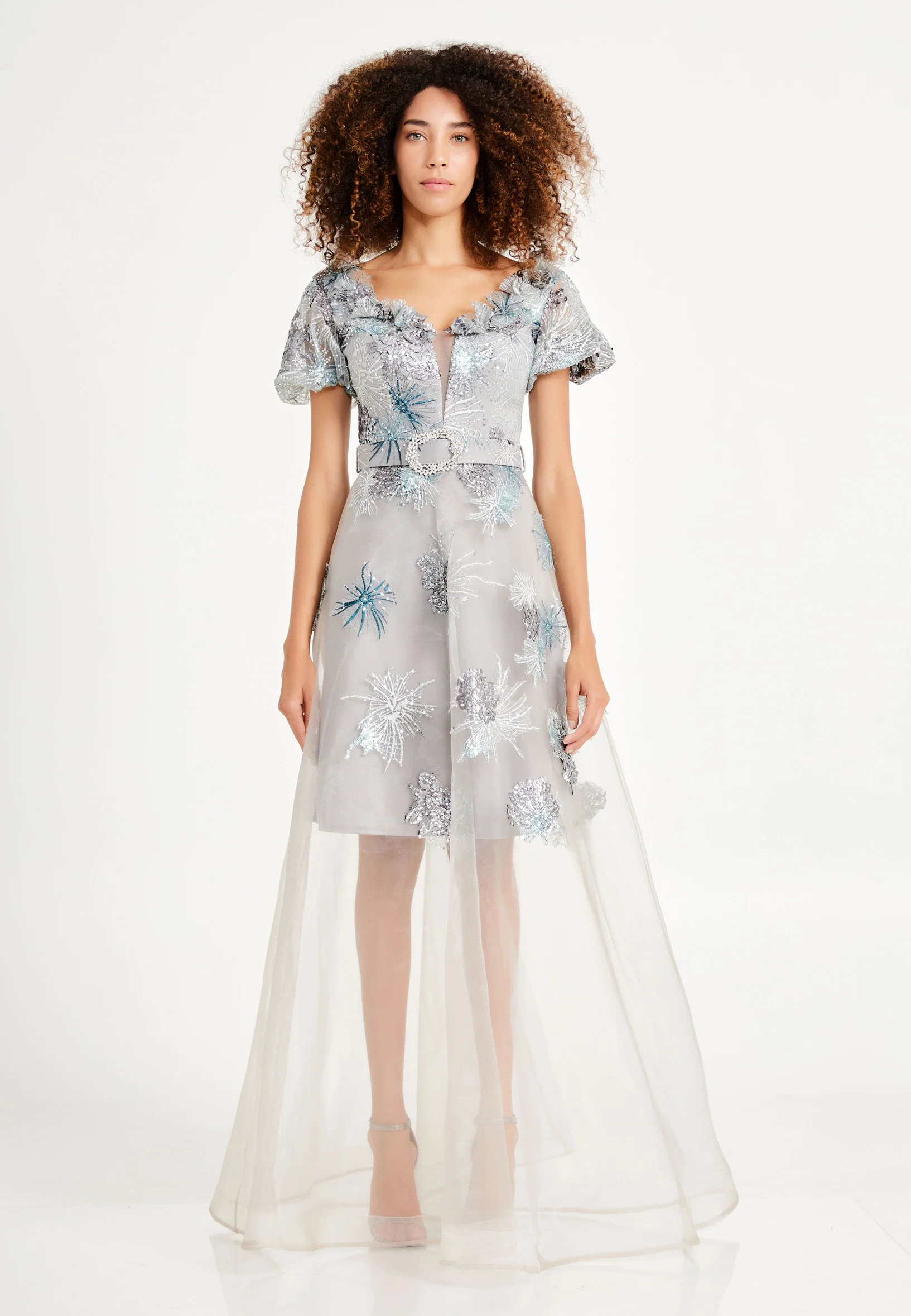 Short Sleeve Maxi Tulle Gown Regular Prom Dress rmn2992 - Image 13