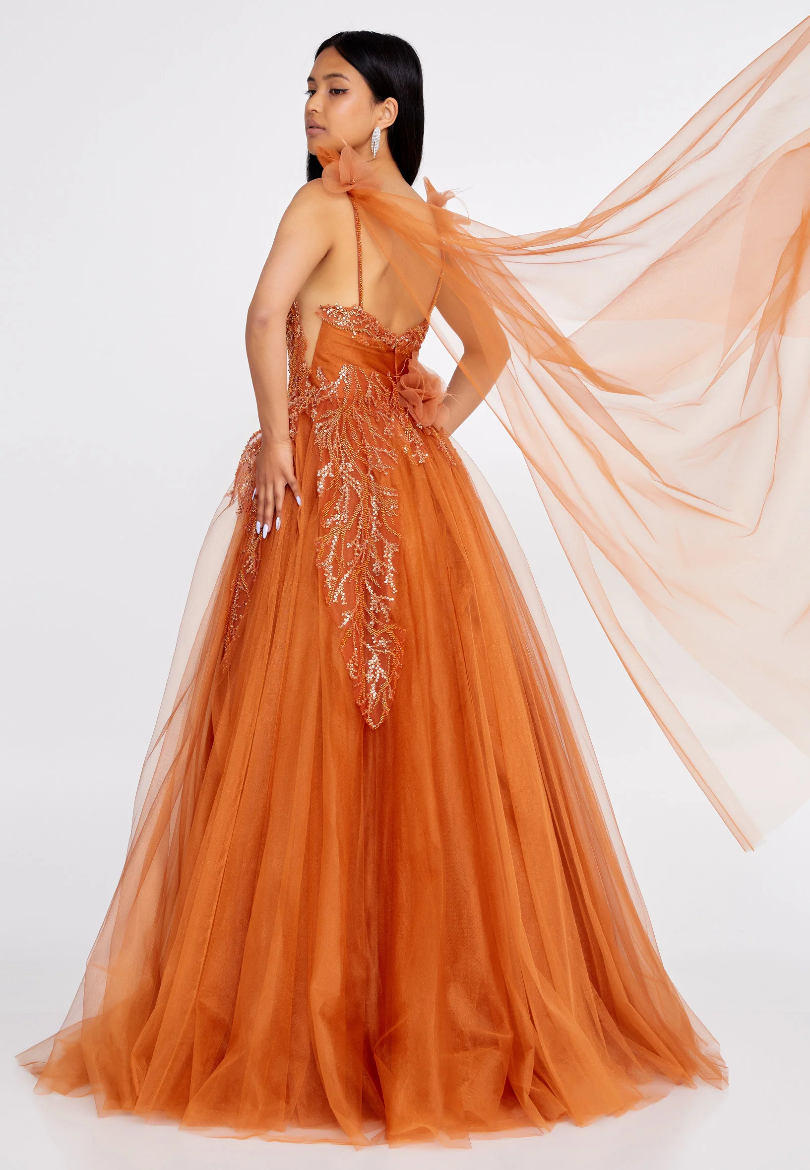 Sleeveless Maxi Tulle A - Line Regular Prom Dress omn303 - Image 6