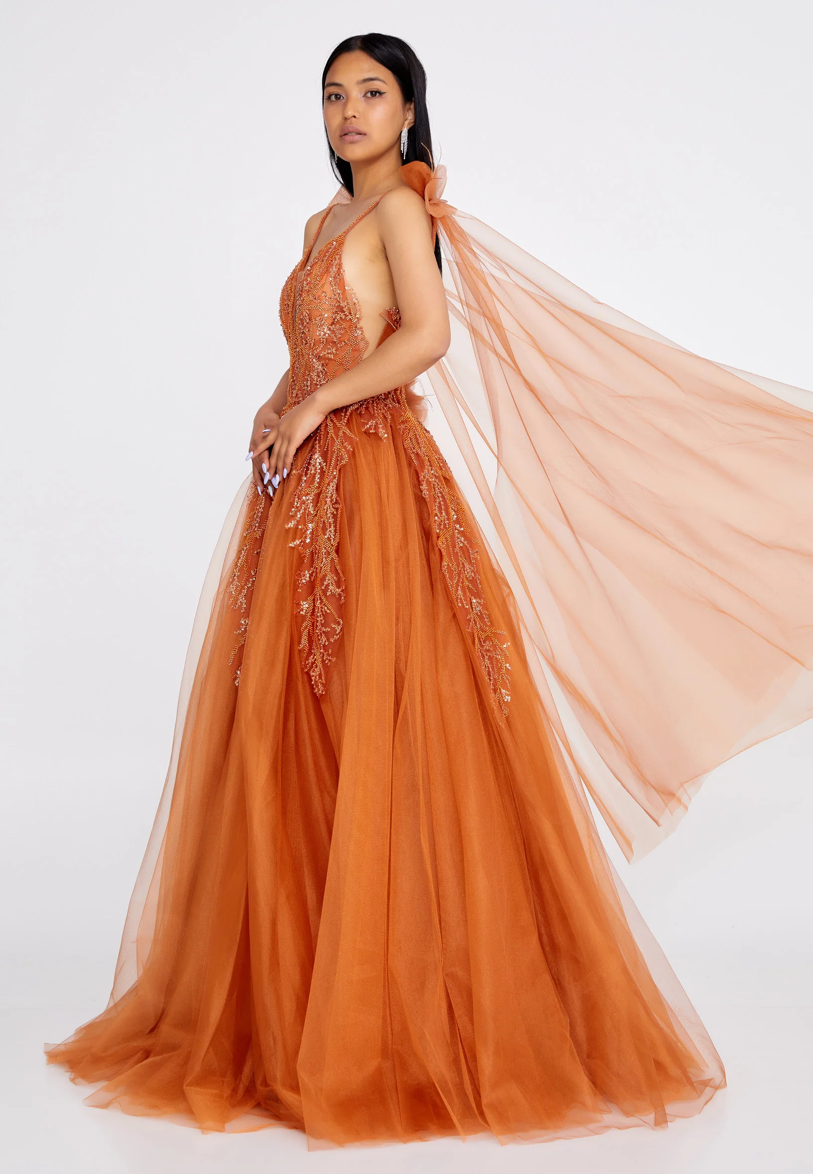 Sleeveless Maxi Tulle A - Line Regular Prom Dress omn303 - Image 7