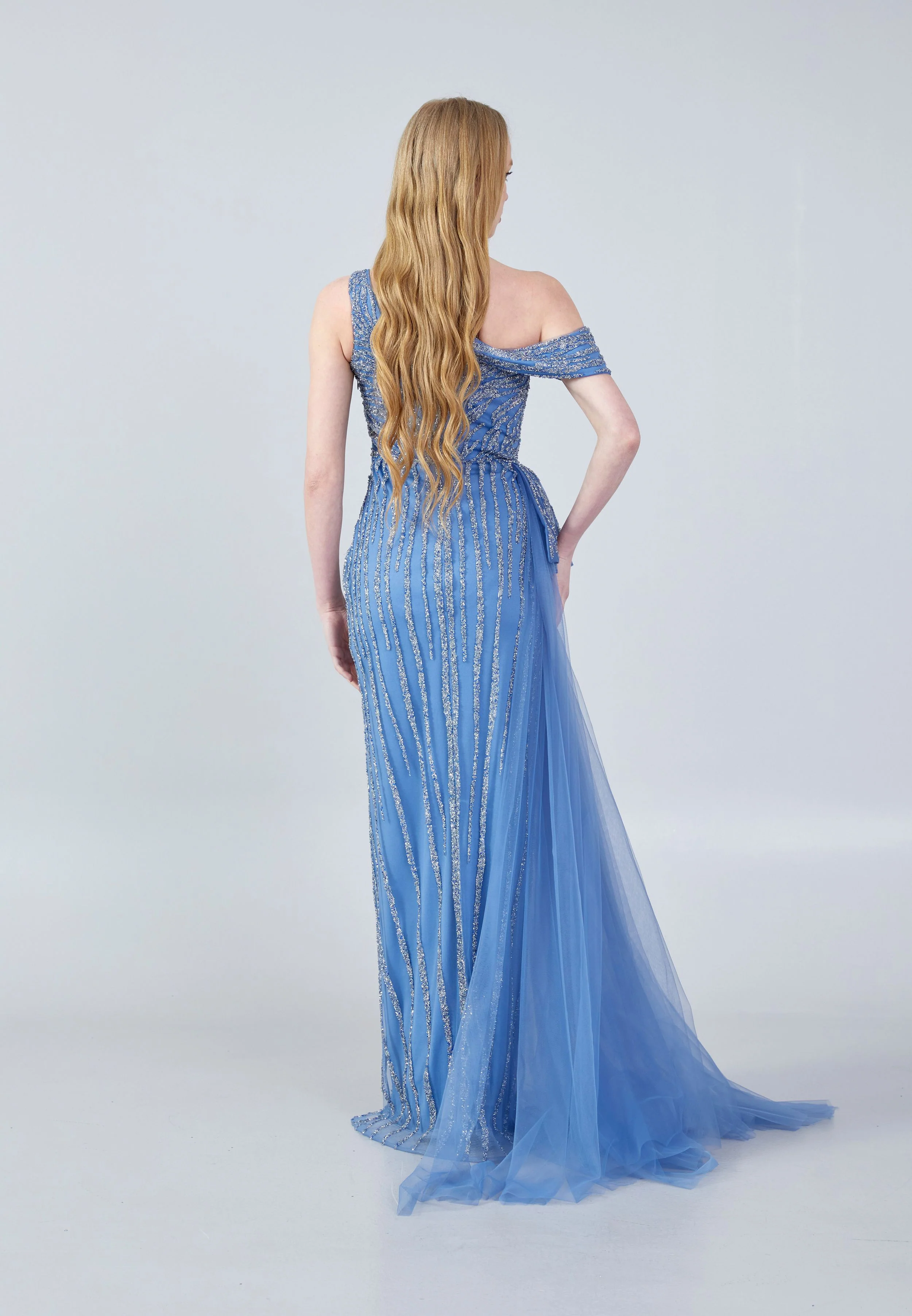 Sleeveless Maxi Tulle Column Regular Wedding Guest Dress aln1635 - Image 10