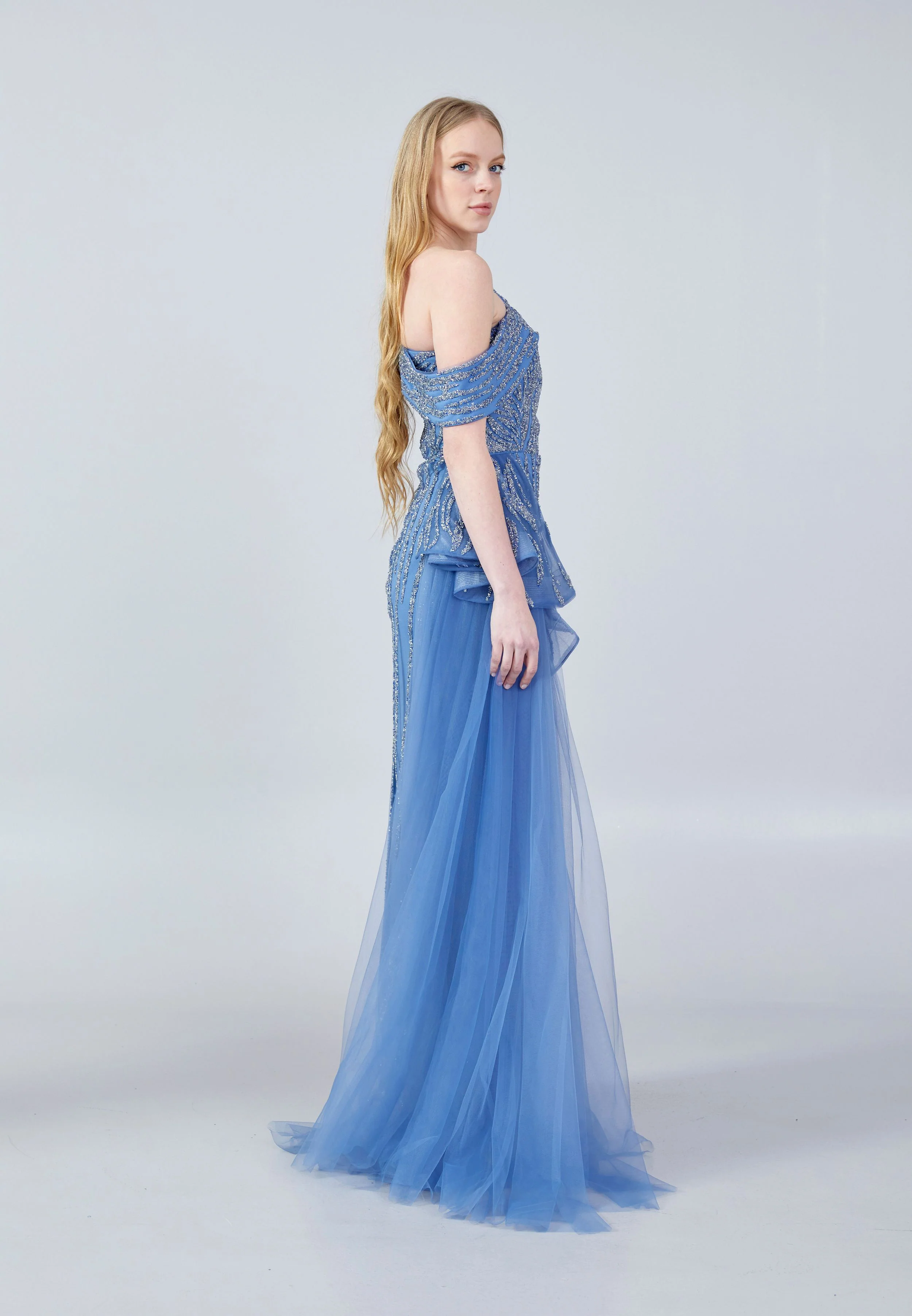 Sleeveless Maxi Tulle Column Regular Wedding Guest Dress aln1635 - Image 11
