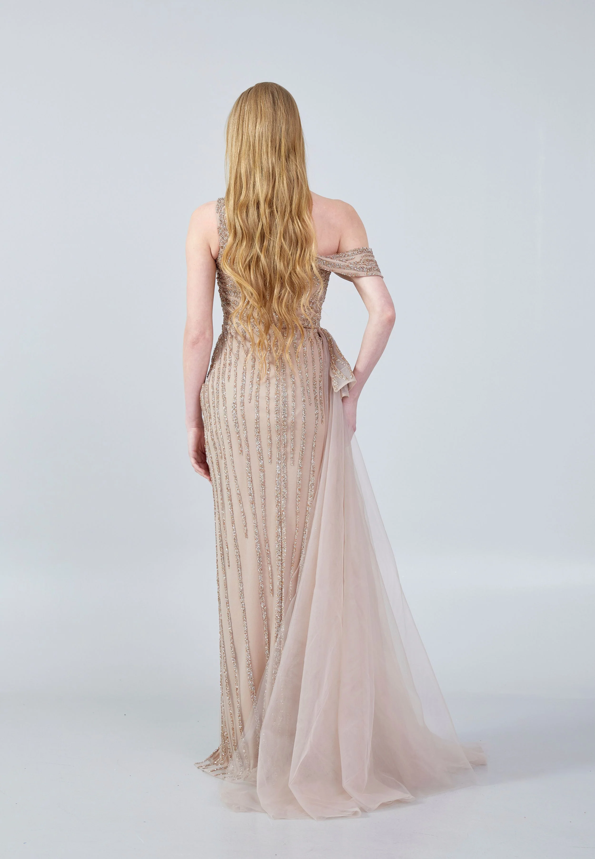Sleeveless Maxi Tulle Column Regular Wedding Guest Dress aln1635 - Image 2