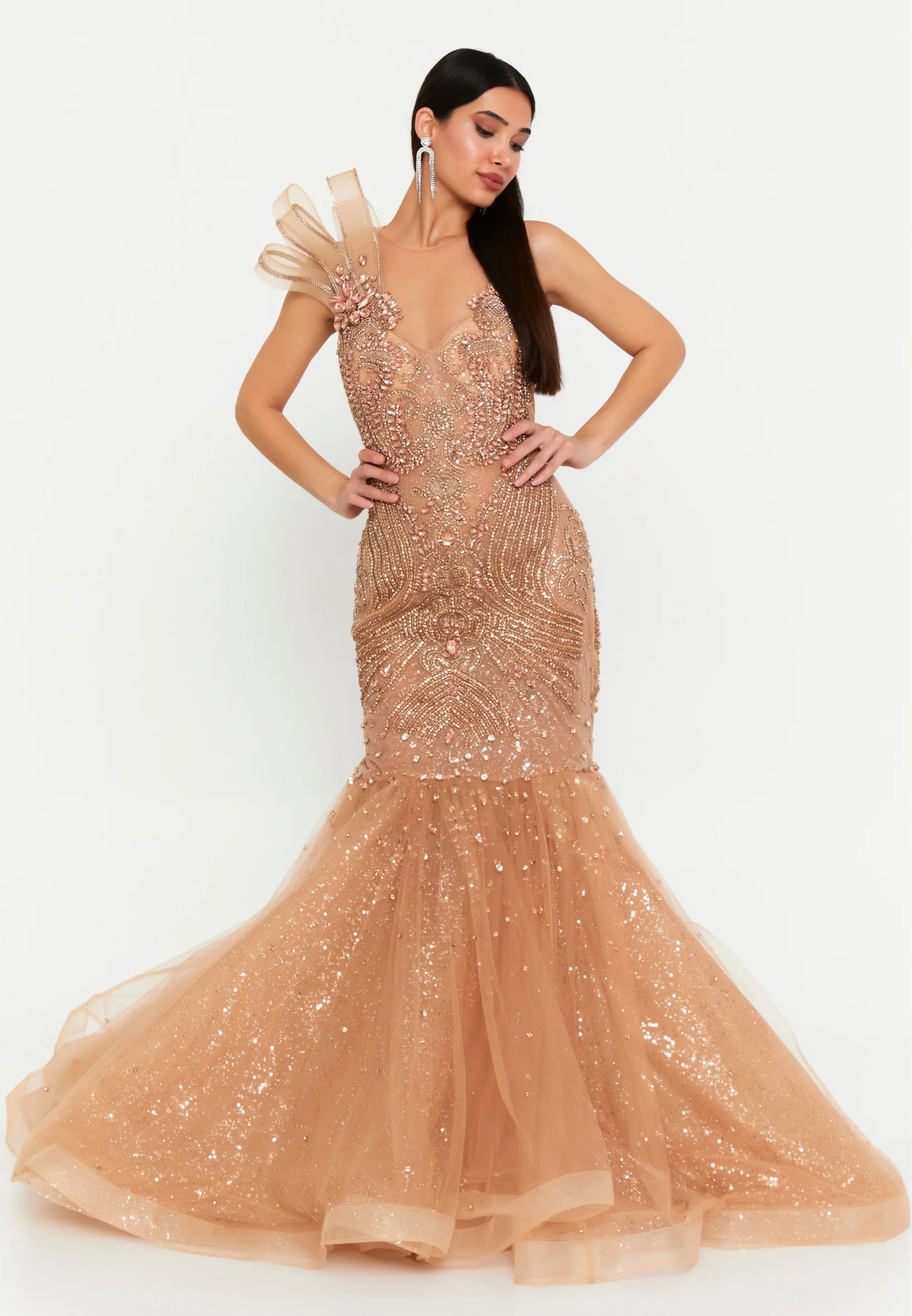 Sleeveless Maxi Tulle Fit & Flare Regular Prom Dress mtn88194